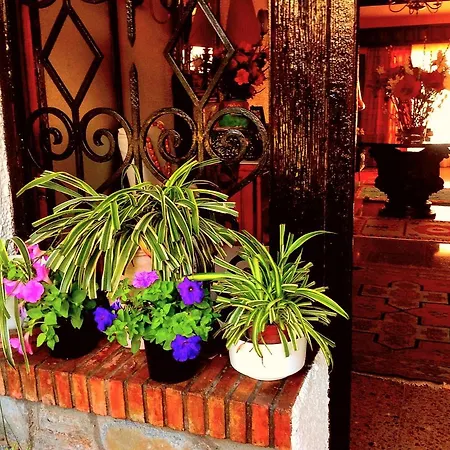 Holiday home Holiday Maria Luz Benalmadena
