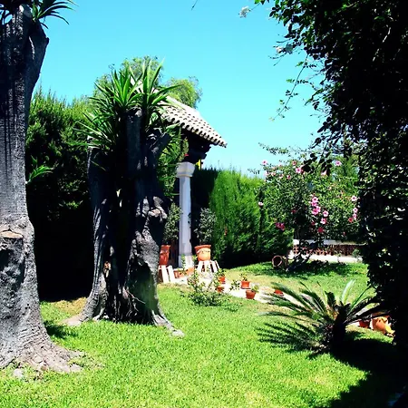 Holiday Maria Luz Holiday home *